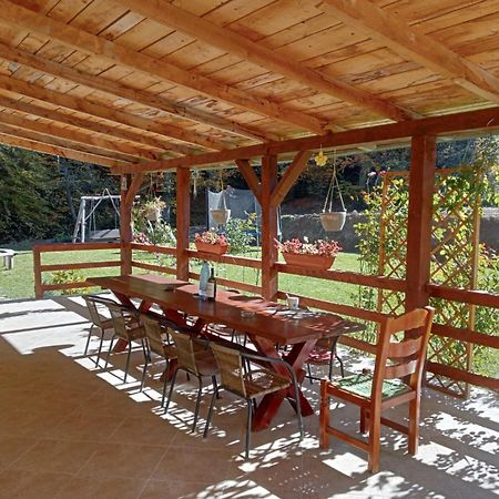 Pensiunea Rozelor Statiunea Climaterica Sambata Sîmbăta de Sus 외부 사진